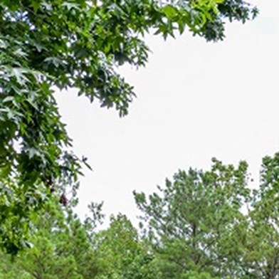St Andrews Apartment Homes Apartments In Johns Creek Ga